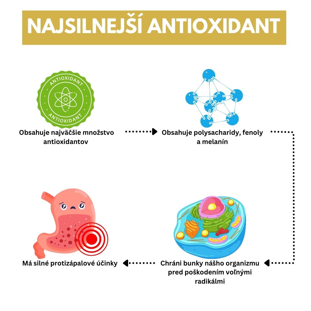 Čaga najsilnejší antioxidant